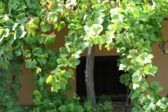 Gomera Urlaub2006 627