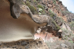 La Gomera 2010 824