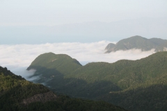 La Gomera 2010 900