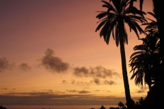 La Gomera Juni 2009 722