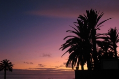 La Gomera Juni 2009 735