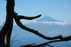 La Gomera Urlaub 2009 249